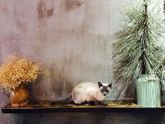 -MIKAKU(万达广场上海宝山店)