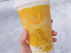 狮鹫兽-维维豆奶(金鹰新街口店)