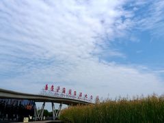 -西安浐灞国家湿地公园