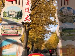 -辽宁大学(崇山校区)