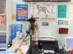 -纳吉亚猫专科动物医院博雅分院
