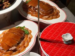 -秀儿四九城·新京菜(亚运村鸟巢店)