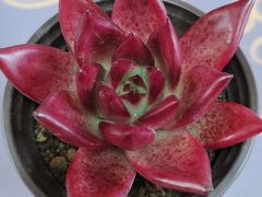 -恒达综合农贸市场(黄山路店)