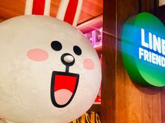 -line friends(明洞旗舰店)