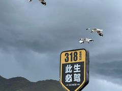 -羊卓雍措