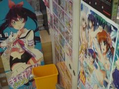 -Animate(秋叶原本馆)