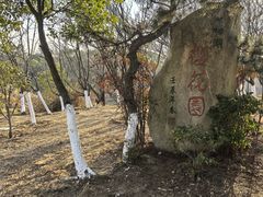 -八大山人梅湖景区