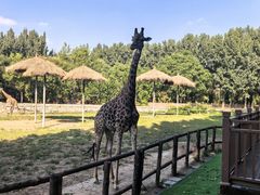 -北京野生动物园