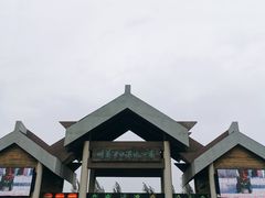 景点-呼兰河口湿地公园