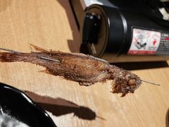 -游园觅食记夜市·小龙虾大排档