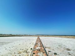 -莺歌海盐场