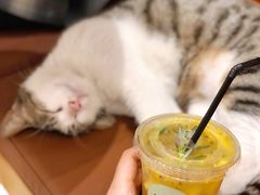 -MQ COFFEE STAND明谦(新洲店)