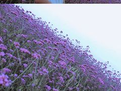 -天河潭旅游度假区