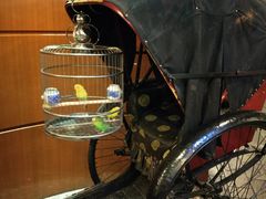 -上海老饭店(北京分店)