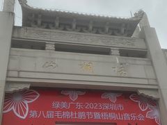 -梧桐山风景名胜区