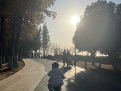 -滆湖低碳生态公园