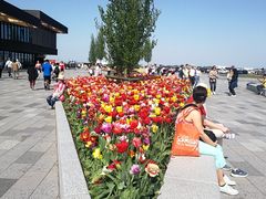 -库肯霍夫公园