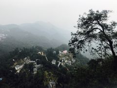 -大金鹰园