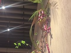 -老阿爸鲜鱼土菜(园区永旺店)