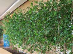 -青岛银沙滩温德姆至尊酒店