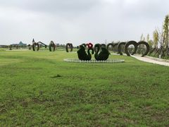 -南通鲜花小镇