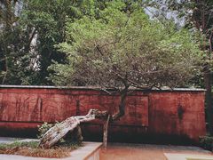 -深圳国际园林花卉博览园