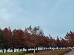 -苏州东太湖生态园