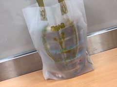 -珍妮曲奇聪明小熊(上环店)