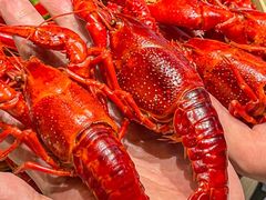 -浙食逅·弄虾·融合菜·小龙虾(双城国际店)