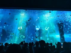-波塞冬海底世界