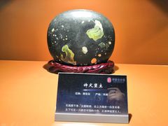 -中华赏石园