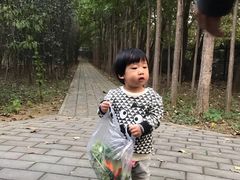 -1982农场