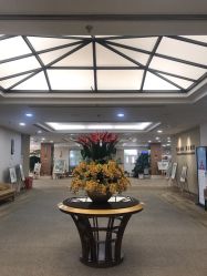 -北京明德医院·医疗美容
