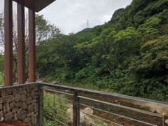 -北仑森林植物园