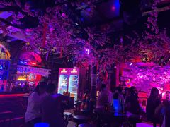 -周庄红庭演艺酒吧