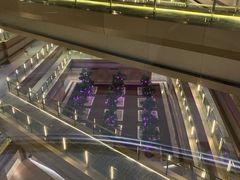 -南京禄口机场雅高铂尔曼大酒店