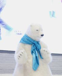-Mr·Kuma酷么先生雪之乐园