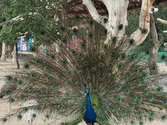 -水上乐园·欢乐世界