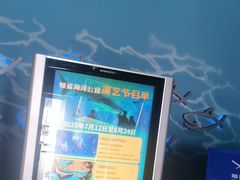 -烟台海昌鲸鲨海洋公园