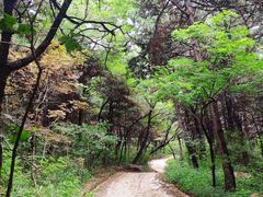 -沈阳辉山风景区