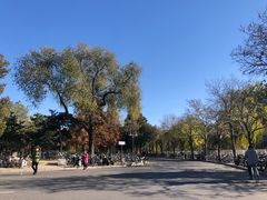 -清华大学-观畴园餐厅