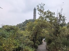 -巢湖姥山岛