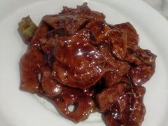 -蝶园·装修中(BFC外滩金融中心店)