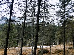 -硗碛藏寨·神木垒景区