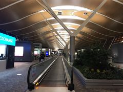 -上海浦东国际机场-T2航站楼