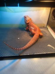 -酷嗒动物文化乐园(cutezoo西溪乐天城店)