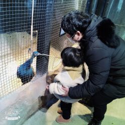 -酷嗒动物文化乐园(cutezoo西溪乐天城店)