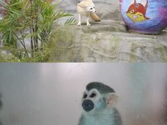 -乐和乐都动物主题乐园