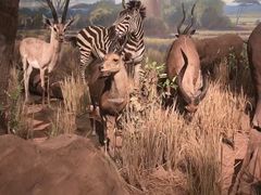 -陕西自然博物馆