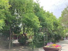 -杨柳青庄园